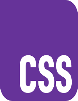 CSS